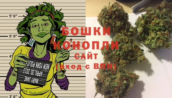 бошки Алексин