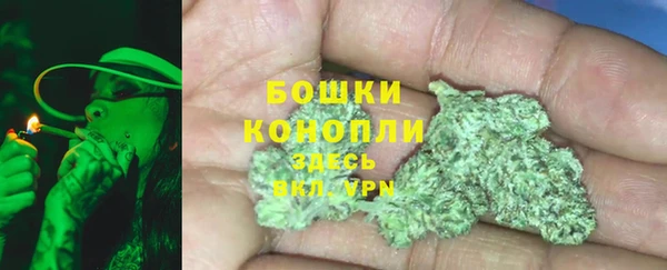бошки Алексин